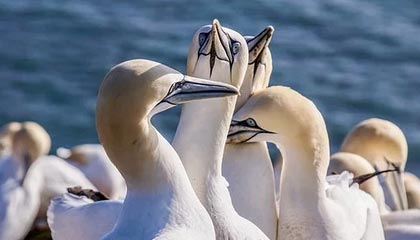 -北京半马精彩收官，国内选手夺得男子组冠军，北京半马终点